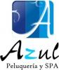 Azul Peluqueria & Spa